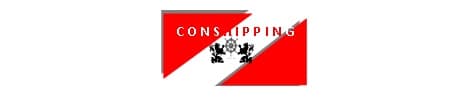 valdor conshipping, the official representative in romania of elvictor group